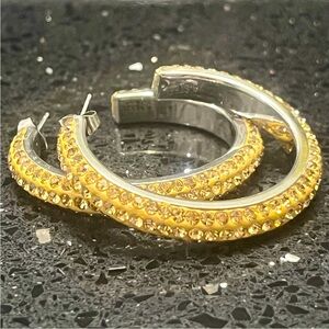 Pave Set BRONZE Colorado Gold TOPAZ Crystal cz Hoop Earrings Stainless Steel New